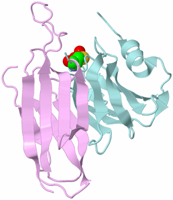 Image Biological Unit 4