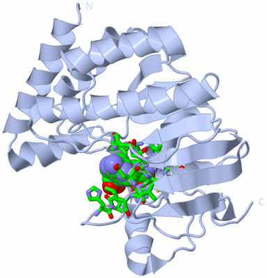 Image Biol. Unit 1 - sites