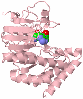 Image Biological Unit 3