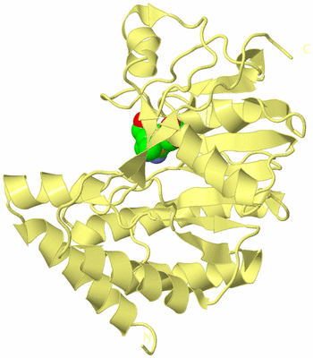 Image Biological Unit 4