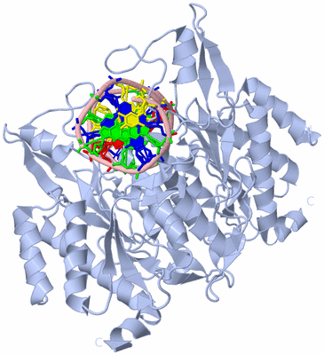 Image Biological Unit 1