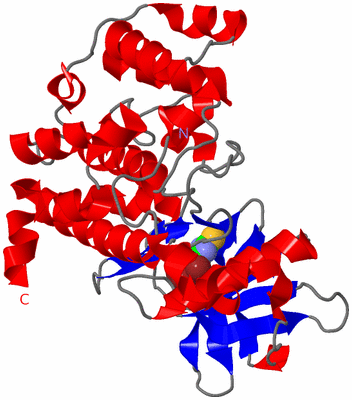 Image Asym./Biol. Unit