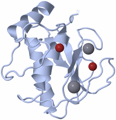 Image Biological Unit 1