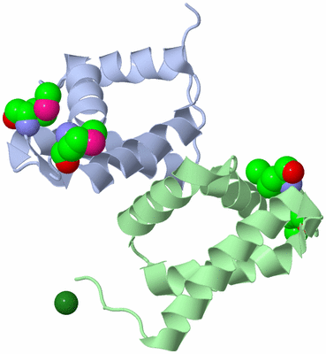 Image Asym./Biol. Unit