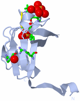 Image Biol. Unit 1 - sites