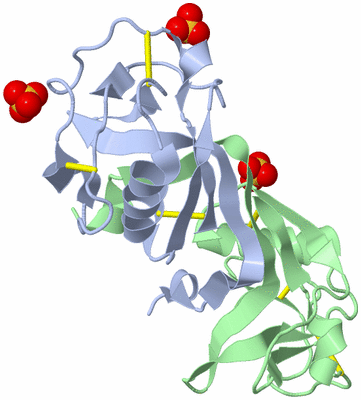 Image Biological Unit 3