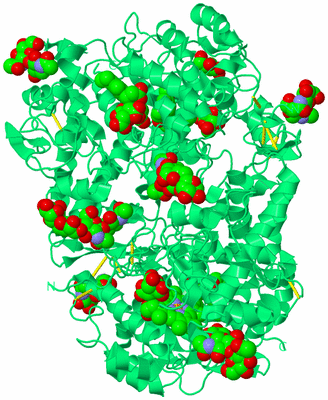 Image Biological Unit 1