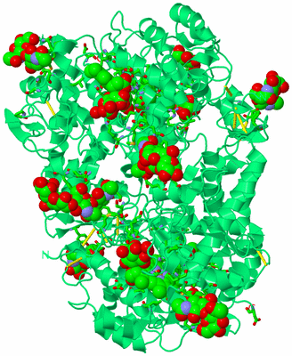 Image Biol. Unit 1 - sites