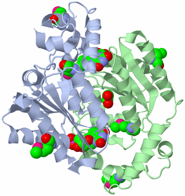 Image Biological Unit 1