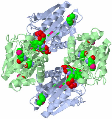 Image Biological Unit 2