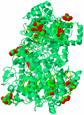 Image Biol. Unit 1 - sites