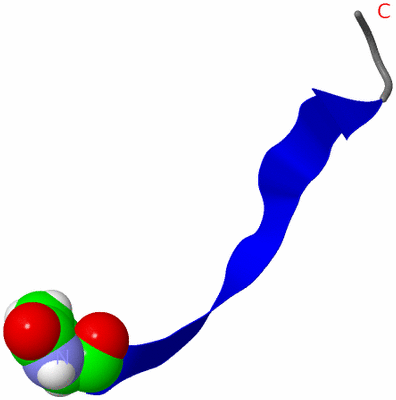 Image NMR Structure - model 1