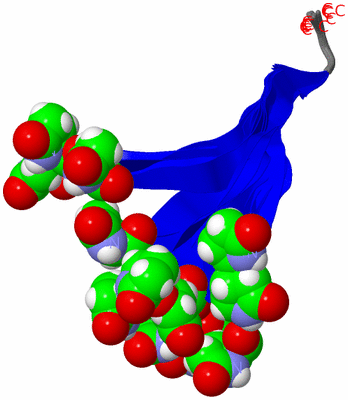 Image NMR Structure - all models