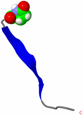 Image NMR Structure - model 1