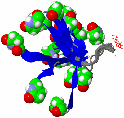 Image NMR Structure - all models