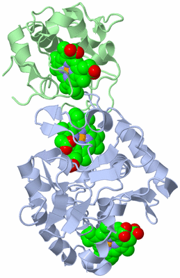 Image Biological Unit 1