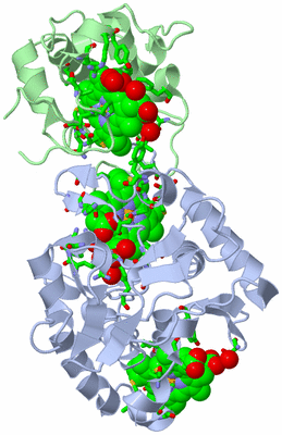 Image Biol. Unit 1 - sites