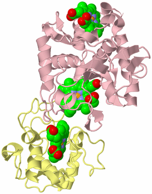 Image Biological Unit 2