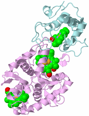 Image Biological Unit 3