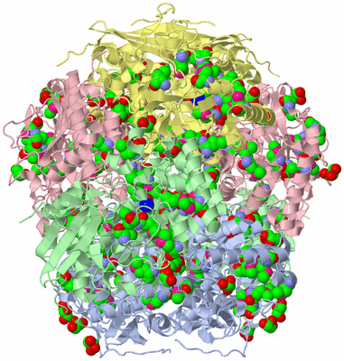 Image Biological Unit 1