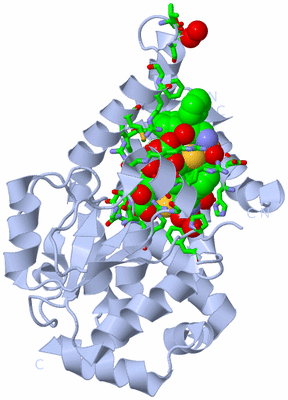 Image Biol. Unit 1 - sites