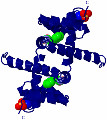 Image Biological Unit 1