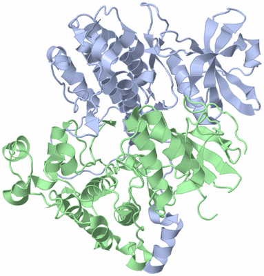 Image Asym./Biol. Unit