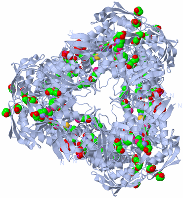 Image Biological Unit 1