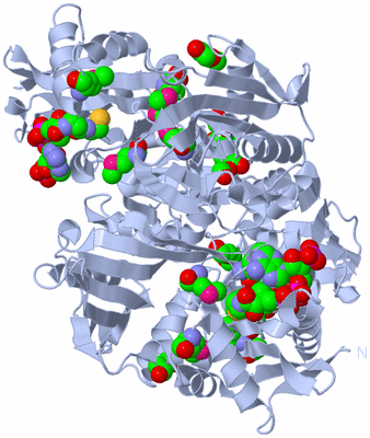 Image Biological Unit 2