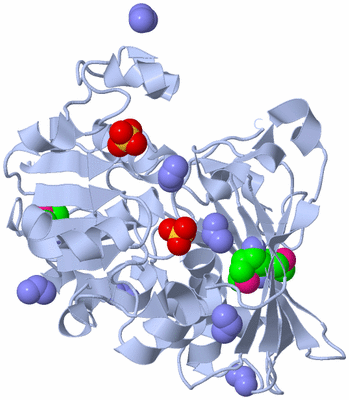 Image Biological Unit 1