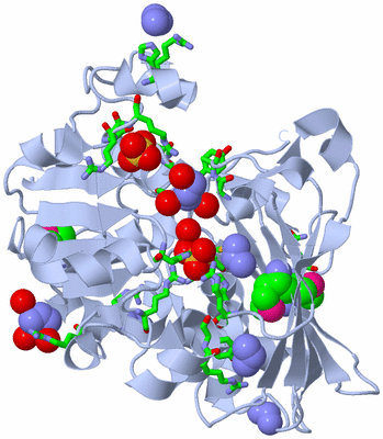 Image Biol. Unit 1 - sites