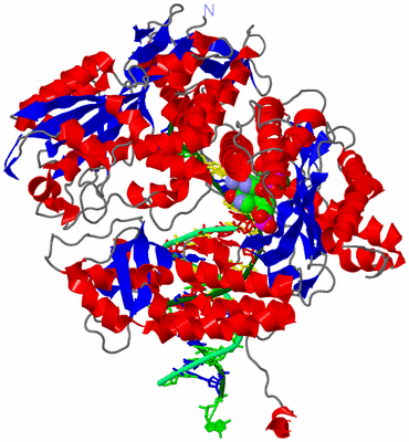 Image Asym./Biol. Unit