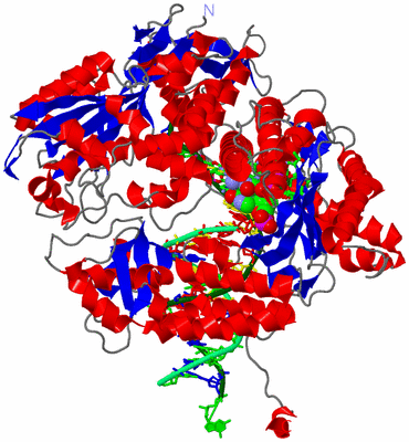 Image Asym./Biol. Unit - sites