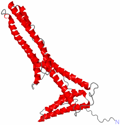 Image NMR Structure - model 1