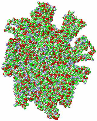 Image NMR Structure - all models