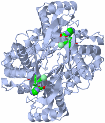 Image Biological Unit 1