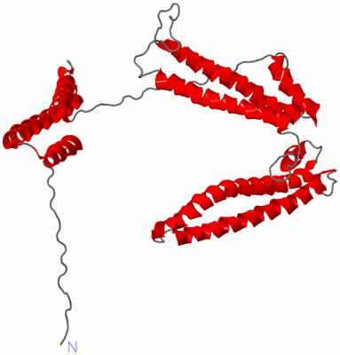 Image NMR Structure - model 1