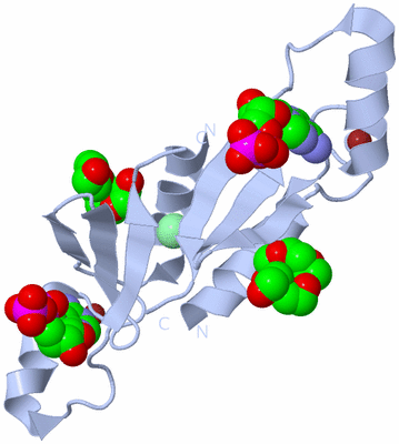 Image Biological Unit 1