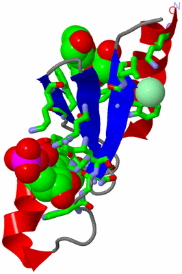 Image Asym. Unit - sites