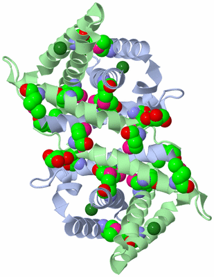 Image Biological Unit 1