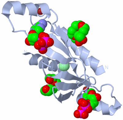 Image Biological Unit 1