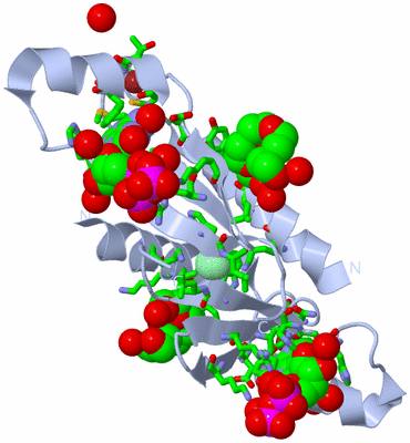 Image Biol. Unit 1 - sites