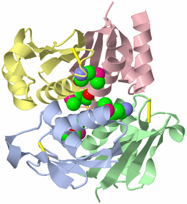 Image Asym./Biol. Unit