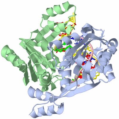 Image Asym./Biol. Unit