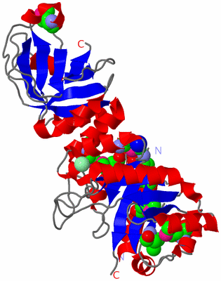 Image Asym./Biol. Unit