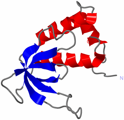 Image NMR Structure - model 1