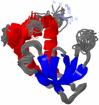 Image NMR Structure - all models