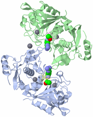 Image Asym./Biol. Unit