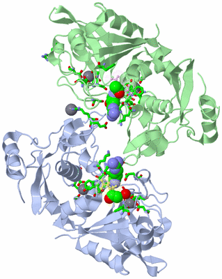 Image Asym./Biol. Unit - sites