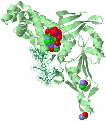 Image Biological Unit 2